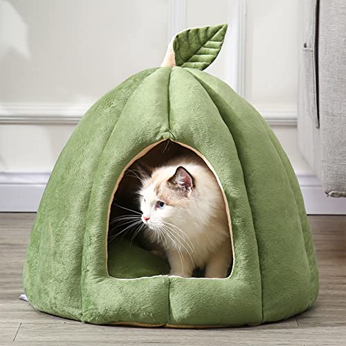 SYCARPET Katzenbett für Indoor-Katzen, maschinenwaschbares Katzenbett für Indoor-Katzen oder Welpen, Welpen, Kätzchen, Kaninchen, Rutschfester und wasserdichter Boden von SYCARPET