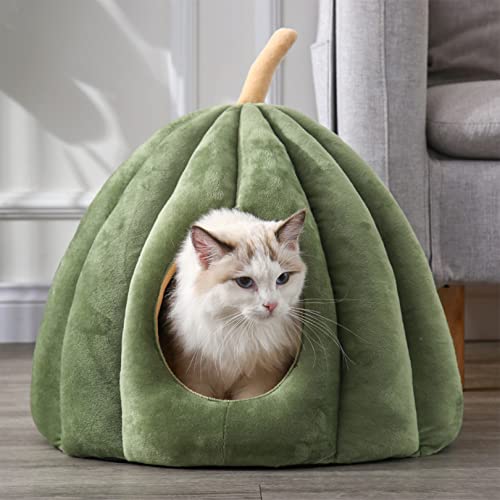 Katzenbett für Indoor-Katzen, maschinenwaschbares Katzenbett für Indoor-Katzen oder Welpen, Welpen, Kätzchen, Kaninchen, Rutschfester und wasserdichter Boden Katzenbett für Indoor-Katzen, maschinenwaschbares Katzenbett für Indoor-Katzen oder Welpen, Welpen, Kätzchen, Kaninchen, Rutschfester und wasserdichter Boden von SYCARPET