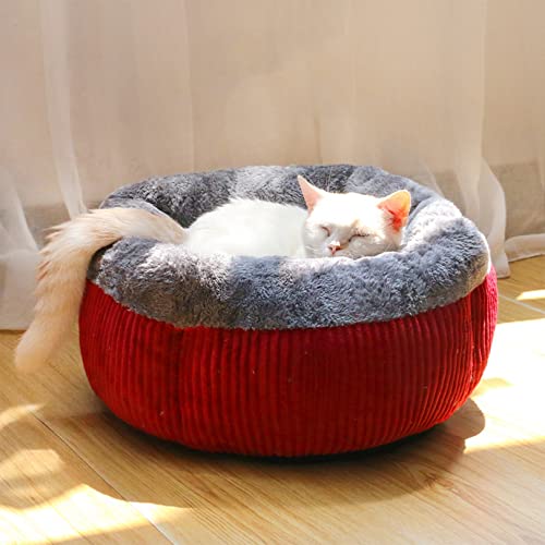 Modernes, weiches, rundes Katzenbett, ideal für Katzen oder Welpen im Haus, Selbsterwärmung im Herbst und Winter, Indoor-Nickerchen, Komfortables Katzenbett, Rutschfester Boden Modernes, weiches, rundes Katzenbett, ideal für Katzen oder Welpen im Haus, Selbsterwärmung im Herbst und Winter, Indoor-Nickerchen, Komfortables Katzenbett, Rutschfester Boden von SYCARPET