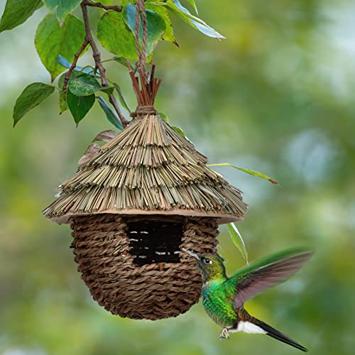 SYFUNLV Gras Bird Nest,Vogelhütte,15×19cm handgewebten Vogelhäuschen,Naturprodukt,Vogel Nest Kreative Ornamente Hausgarten,Vogelhütte für den Außenbereich,Terrasse Garten Dekoration SYFUNLV Gras Bird Nest,Vogelhütte,15×19cm handgewebten Vogelhäuschen,Naturprodukt,Vogel Nest Kreative Ornamente Hausgarten,Vogelhütte für den Außenbereich,Terrasse Garten Dekoration von SYFUNLV