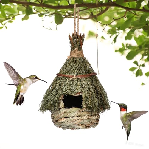 SYFUNLV Gras Vogelnest,Handgewebtes Stroh Vogelhaus,Hängende Vogelrettungsbox,Outdoor Schmücken Vogel Nistkasten,für Garten Terrasse,Wildtiere Vögel Vogelhaus Supplies Brutnest SYFUNLV Gras Vogelnest,Handgewebtes Stroh Vogelhaus,Hängende Vogelrettungsbox,Outdoor Schmücken Vogel Nistkasten,für Garten Terrasse,Wildtiere Vögel Vogelhaus Supplies Brutnest von SYFUNLV