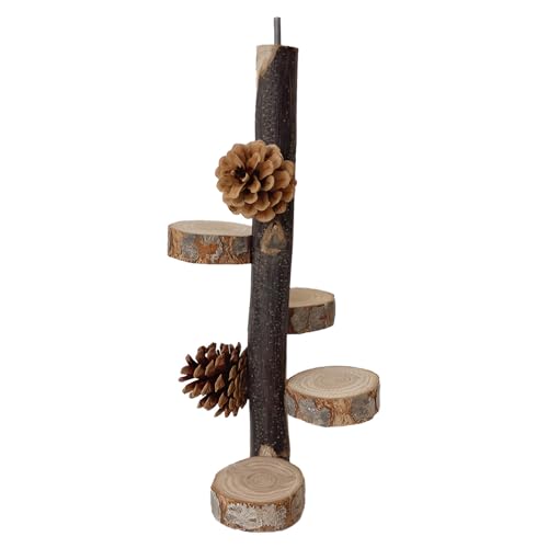 SYFUNLV Natural Wood Bird Perches,Bird Parrot Stand Platform,Wooden Activity Branches,Birds Perches Cage Stand,Bird Cage Perches Platform,for Parakeets,Cockatiels,Macaws,Lovebirds,Cockatiel (Stil 2) SYFUNLV Natural Wood Bird Perches,Bird Parrot Stand Platform,Wooden Activity Branches,Birds Perches Cage Stand,Bird Cage Perches Platform,for Parakeets,Cockatiels,Macaws,Lovebirds,Cockatiel (Stil 2) von Syfunlv