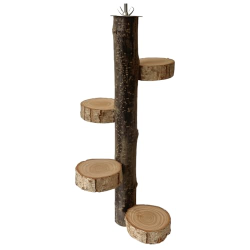 SYFUNLV Natural Wood Bird Perches,Bird Parrot Stand Platform,Wooden Activity Branches,Birds Perches Cage Stand,Bird Cage Perches Platform,for Parakeets,Cockatiels,Macaws,Lovebirds,Cockatiel (Stil 1) von Syfunlv