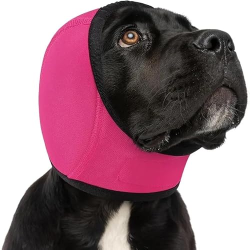 SYH&AQYE Hunde-Ohrschützer mit beruhigendem Kapuzenpullover, verstellbare Ohrenschützer for Hunde zur Linderung von Lärm und Angstzuständen, Ohrenschützer for Hunde, Lärmschutz, Feuerwerk(M) SYH&AQYE Hunde-Ohrschützer mit beruhigendem Kapuzenpullover, verstellbare Ohrenschützer for Hunde zur Linderung von Lärm und Angstzuständen, Ohrenschützer for Hunde, Lärmschutz, Feuerwerk(M) von SYH&AQYE