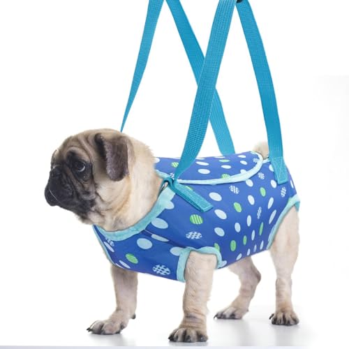 SYH&AQYE Hundetragetasche, tragbarer, atmungsaktiver Haustiertrage-Rucksack, verstellbares Ganzkörper-Hebegeschirr for kleine Hunde und Katzen mit freihändiger Schulter(Blau,S) von SYH&AQYE