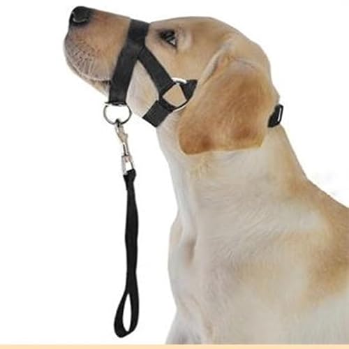 SYH&AQYE Maulkorb for Hunde, atmungsaktiv, verstellbar, Biss- und ausbruchsicheres Design for Fellpflege, Training, Spazierengehen, kleine Passform for Training, Spazierengehen, Reisen(S) von SYH&AQYE