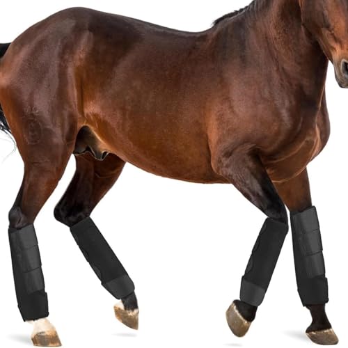 SYH&AQYE Verstellbares Fliegenstiefel-Set for Pferde, Beinschutz for Pferde, reduziert Stampfen, atmungsaktive Fliegenstiefel aus Netzgewebe for das Training von Reitausrüstung(L) von SYH&AQYE