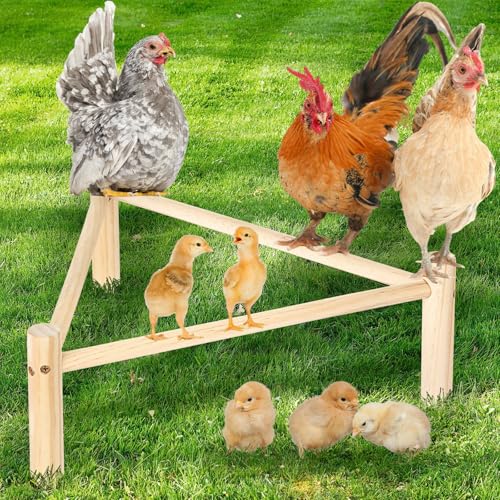 Hühnerstange für Stall & Brutstätte, Kiefernholz Hühnerspielzeug & Stallzubehör für Huhn, dreieckige Turnhalle, Wurststange für große Hühner, Papageien, Vögel, natürlicher Geflügelständer Hühnerstange für Stall & Brutstätte, Kiefernholz Hühnerspielzeug & Stallzubehör für Huhn, dreieckige Turnhalle, Wurststange für große Hühner, Papageien, Vögel, natürlicher Geflügelständer von SYMDROMIA