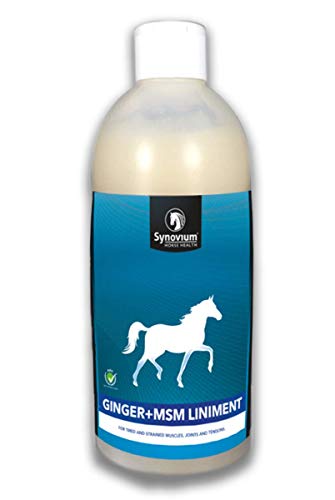 Synovium® -ginger-msm-Liniment - 500ml - ist wissenschaftlich fundiertes Nahrungsergänzungsmittel für Ihr Pferd oder Pony (für die Pflege von stark belasteten Muskeln und/oder Sehnen von Pferden) von SYNOVIUM