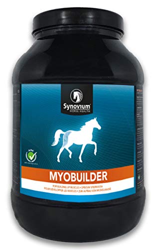 Synovium Myobuilder - 1 kg von SYNOVIUM