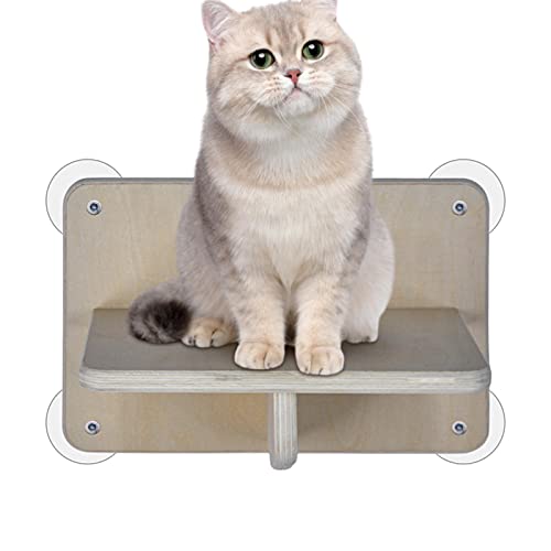 SYNYEY Katzen-Fenstersitz für Wohnungskatzen | Kätzchen-Fensterbett | Platzsparendes Sicherheits-Kätzchenbett, Ruhesitz für kleine, mittelgroße und große Katzen von SYNYEY