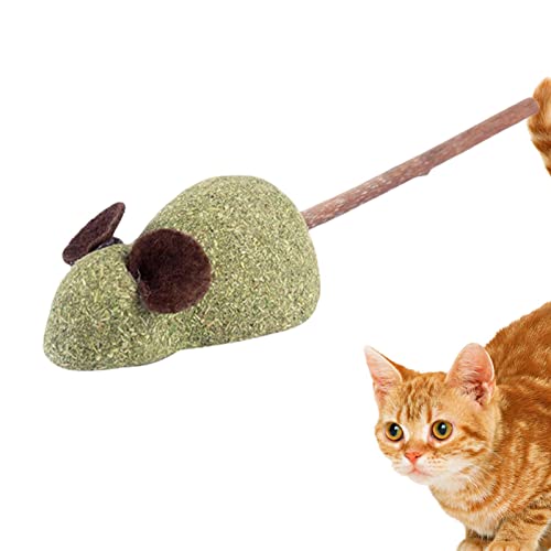 SYNYEY Katzenminze-Spielzeug für Indoor-Katzen | Langlebiges Silvervine Kauspielzeug – Interaktives Katzenspielzeug für Indoor-Katzen, Silvervine Katzenspielzeug, von SYNYEY