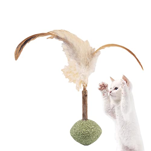SYNYEY Katzenminze-Spielzeug für Indoor-Katzen | Natürliches Silvervine Katzenminze-Spielzeug - Interaktives Katzenspielzeug für Indoor-Katzen, Reinigung der Zähne Backenzähne Werkzeuge, von SYNYEY