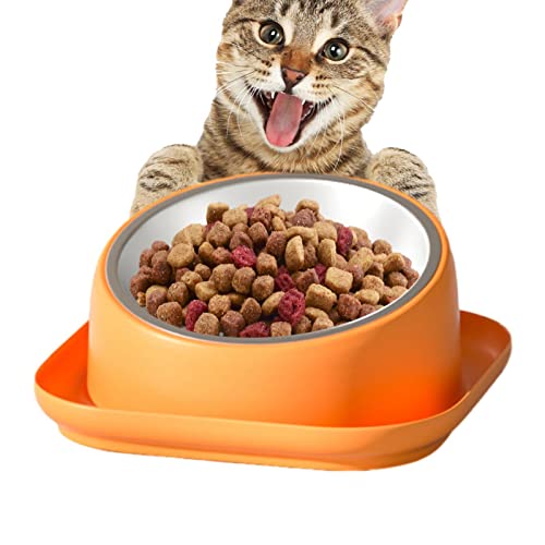 SYNYEY Katzennapf gegen Erbrechen | Erhöhte Katzennäpfe - Katzenfutternapf Bowl Gekippter erhöhter Katzenwassernapf Haustierbedarf Erhöhter Katzennapf von SYNYEY