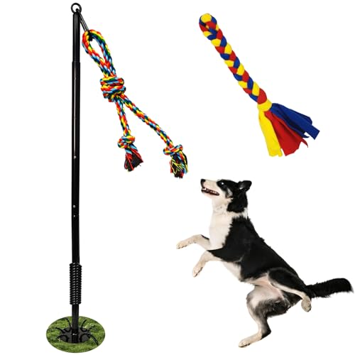 SYOOY Interaktives Hundespielzeug für den Außenbereich, mit Haltegurt, Trainingsgerät im Hofpark, mit 2 Seil-Spielzeug für große, mittelgroße und kleine Hunde, zum Ziehen und Ziehen SYOOY Interaktives Hundespielzeug für den Außenbereich, mit Haltegurt, Trainingsgerät im Hofpark, mit 2 Seil-Spielzeug für große, mittelgroße und kleine Hunde, zum Ziehen und Ziehen von SYOOY