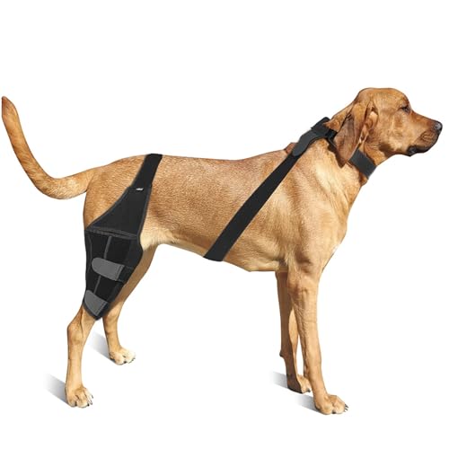 Hunde-Kniebandage für zerrissene Hinterbeine, hält Gelenke warm und stabil, Bei Kreuzbandriss, Bänderverletzungen, Postoperativ Recovery-Anzug, für Ellbogenschutz Stütze (M) von SYWLKJ