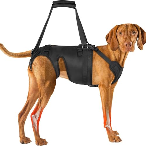 Hundeliftgeschirr, Hund Lift Support für Hunde, Rehabilitation Geschirr Mobilität Sling, für Verletzte Behinderte Kleine, Mittlere und Große Hunde (M) von SYWLKJ