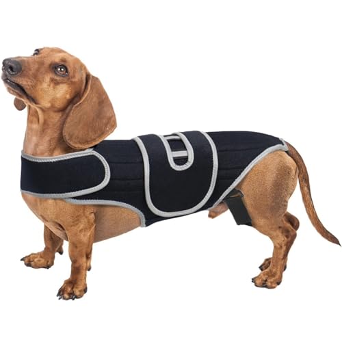Hunderückenstütze für Hunde Arthritis, IVDD Rückenbandage, Chirurgie-Genesungsanzug Hunde, chirurgische Erholung der, Rückenerkrankungen Prävention (M) von SYWLKJ