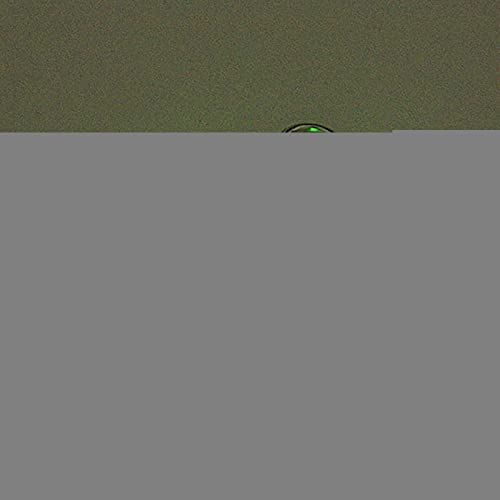 SZFRYEU Zubehör Für Hundehalsband Anhänger Nachtsicher und Licht Katzen Hunde Hund Laufanzeige Beweis Wasserscheinwerfer Lichter Wasser Haustier Heimtierbedarf Hunde Gepäckträger (Green, One Size) von SZFRYEU