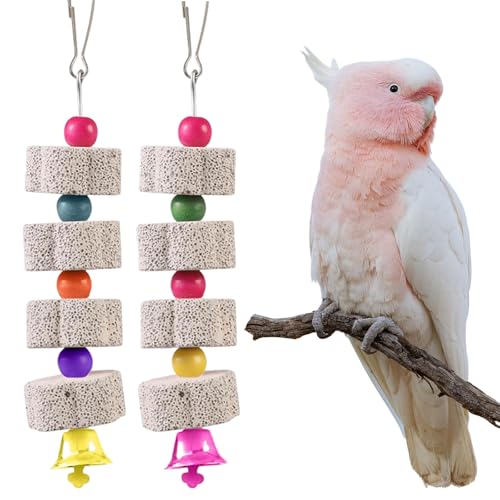 SZSMW 2 Papageienspielzeug - Vogel Spielzeug - Kalkstein FüR VöGel - Geeignet FüR das Mahlen Von Nagetieren und Auch FüR Verschiedene VöGel und Andere Kleine Tiere Wie Hamster, Ratten von SZSMW