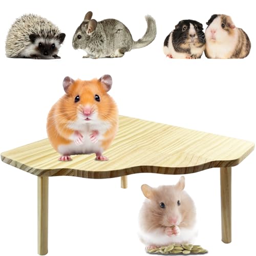 SZSMW Hamster Plattform - Hamster ZubehöR FüR Den KäFigplattform - Geeignet FüR Hamster, Kaninchen, Chinchillas, Meerschweinchen Und Gutes Spielzeug, die Bewegung FöRdern KöNnen (22cm*13cm) von SZSMW