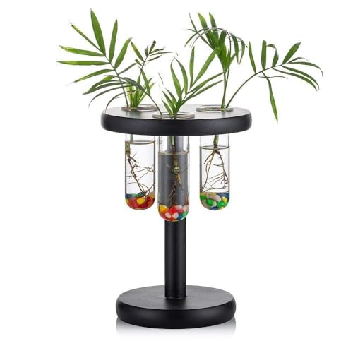 Glas-Pflanzgefäß mit 3 Reagenzgläsern mit Holzständer, rundes Glasterrarium, Tisch-Pflanzgefäß, Töpfe, Schwarz für Hydrokulturpflanzen, Anzuchtstation, Büro, Deko Glas-Pflanzgefäß mit 3 Reagenzgläsern mit Holzständer, rundes Glasterrarium, Tisch-Pflanzgefäß, Töpfe, Schwarz für Hydrokulturpflanzen, Anzuchtstation, Büro, Deko von SZSXYBZ
