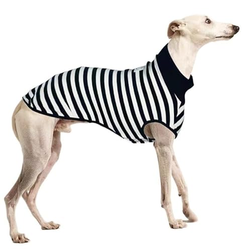 Italienisches Windhundkleid, gestreift, Stretch-Weste, schwarz, Whippetkleid, italienischer Windhund, Hundekleidung, Haustier, schwarz-weiß gestreift, Größe 3XL Italienisches Windhundkleid, gestreift, Stretch-Weste, schwarz, Whippetkleid, italienischer Windhund, Hundekleidung, Haustier, schwarz-weiß gestreift, Größe 3XL von SZSXYBZ