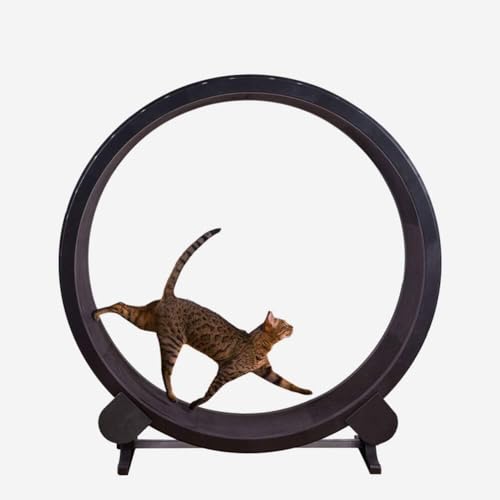Katzenkratzbrett, Katzen-Trainingsrad, Laufband, Riesenrad, Haustiermöbel, Greifer, Krabbelregal, Rad, Rotation, Fitness, Gewichtsverlust, Spielzeug Katzenkratzbrett, Katzen-Trainingsrad, Laufband, Riesenrad, Haustiermöbel, Greifer, Krabbelregal, Rad, Rotation, Fitness, Gewichtsverlust, Spielzeug von SZSXYBZ