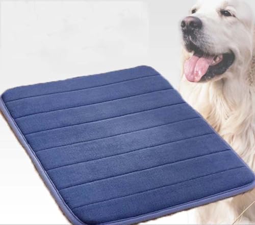 SZSXYBZ Hundebett, Katzenmatte, waschbar, weich, dünn, Schaumstoff, Haustierbett, Hundehütte, orthopädisches Hundekissen, rutschfest, 60 x 40 cm, Blau, Größe M - 80 x 50 cm SZSXYBZ Hundebett, Katzenmatte, waschbar, weich, dünn, Schaumstoff, Haustierbett, Hundehütte, orthopädisches Hundekissen, rutschfest, 60 x 40 cm, Blau, Größe M - 80 x 50 cm von SZSXYBZ