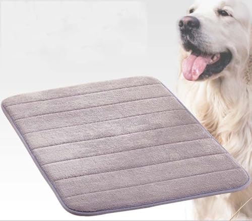 SZSXYBZ Hundebett, Katzenmatte, waschbar, weich, dünn, Schaumstoff, Haustierbett, Hundehütte, orthopädisches Hundekissen, rutschfest, 60 x 40 cm, Grau, Größe XL (100 x 60 cm) von SZSXYBZ