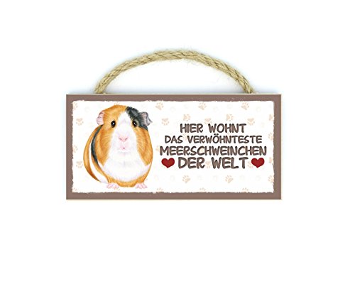 Meerschweinchen Haustier Kühlschrankmagnet aus Holz mit Kordel 71 Meerschweinchen Haustier Kühlschrankmagnet aus Holz mit Kordel 71 von Sachen aus Blech
