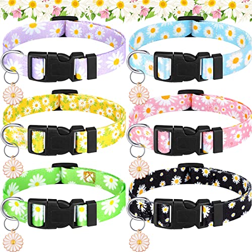 6 Stück Gänseblümchen-Hundehalsband für kleine, mittelgroße und große Hunde, verstellbar, grundlegende Hundehalsbänder, Katzenhalsband für männliche und weibliche (klein) von Sadnyy
