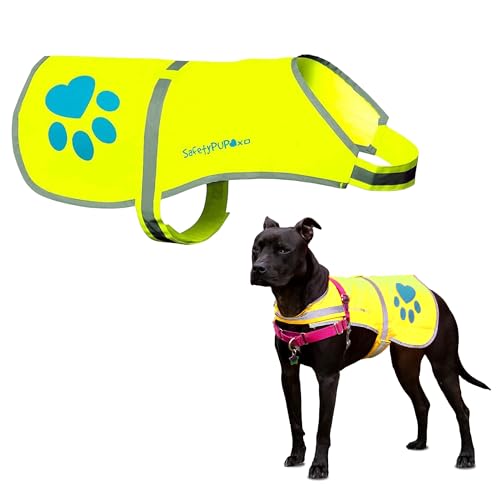 SafetyPUP XD Hund Warnweste.Größen für Hunde 10 kg - 59 kg. Orange X-Klein SafetyPUP XD Hund Warnweste.Größen für Hunde 10 kg - 59 kg. Orange X-Klein von SafetyPUP XD