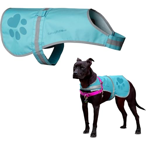 SafetyPUP XD - Schützen Sie Ihren besten Freund. Fluoreszierende, reflektierende Warnweste bietet entscheidende Sichtbarkeit und hilft Ihnen, Ihr Haustier vor Autounfällen und ländlichen Unfällen zu SafetyPUP XD - Schützen Sie Ihren besten Freund. Fluoreszierende, reflektierende Warnweste bietet entscheidende Sichtbarkeit und hilft Ihnen, Ihr Haustier vor Autounfällen und ländlichen Unfällen zu von SafetyPUP XD