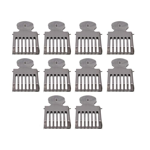 SagaSave 10 Stück Queen Bee Catcher Clips, Edelstahl Fänger Falle Box Queen Bee Cage Clips, Imkerwerkzeug für Imker von SagaSave