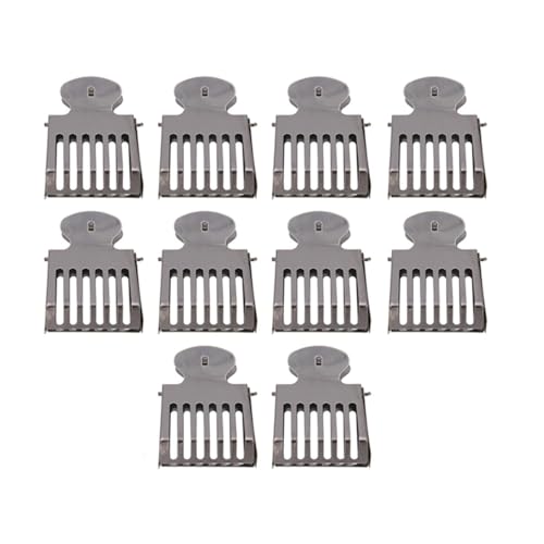 SagaSave 10 Stück Queen Bee Catcher Clips, Edelstahl Fänger Falle Box Queen Bee Cage Clips, Imkerwerkzeug für Imker von SagaSave