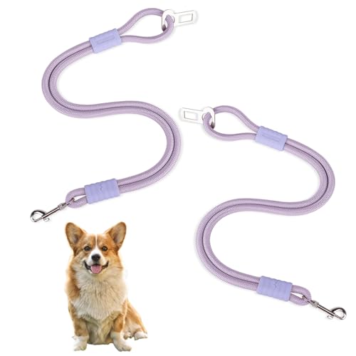 2 Stück Anschnallgurt Hund Auto,Hundeanschnaller fürs Auto,Universelle Sicherheitsschnalle, passend für Autokopfstütze,Kann als Leine verwendet Werden, geeignet für alle Hunde und Katzen (Purple) 2 Stück Anschnallgurt Hund Auto,Hundeanschnaller fürs Auto,Universelle Sicherheitsschnalle, passend für Autokopfstütze,Kann als Leine verwendet Werden, geeignet für alle Hunde und Katzen (Purple) von SahCognitual