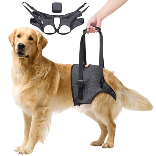Hebegeschirr für Hunde, Stützgeschirr für Rücken und Beine, verstellbarer Hilfsgurt für verletzte, behinderte und ältere Hunde, Größe M Hebegeschirr für Hunde, Stützgeschirr für Rücken und Beine, verstellbarer Hilfsgurt für verletzte, behinderte und ältere Hunde, Größe M von SahCognitual