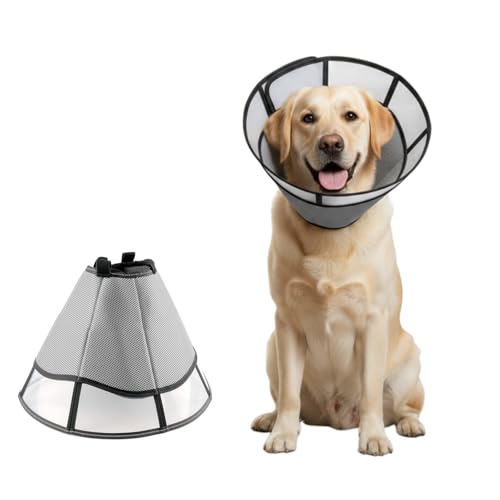 Hundekegel, Hundekegel nach Operationen, weich, Genesungshalsbänder für Hunde, Kegel für Hunde verhindern Lecken, verstellbares Halsband für Haustiere (Grau, L, 33–43,2 cm) von SahCognitual