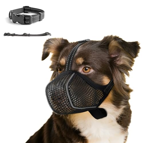 Maulkorb kleine/Mittlere Hunde,Fressschutz Hund, Verstellbarer Atmungsaktiver Maulkorb für Haustiere,Anti-Kau-Mundschutz für Hunde,Passendes Hundehalsband(S) von SahCognitual