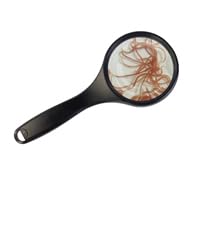 Fischfutter Lebendfutter 10Stk =4x90ml Glanzwürmer+4x90ml weiße Mückenlarven+2x90ml Tubifex von Sahawa Frischfutter gekühlter Versand von SAHAWA