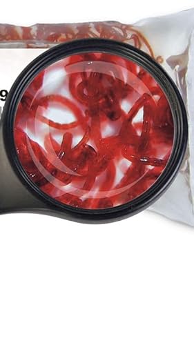 Lebendfutter Fischfutter SAHAWA 5 x 90ml Rote Mückenlarven Lebendfutter Fischfutter SAHAWA 5 x 90ml Rote Mückenlarven von SAHAWA