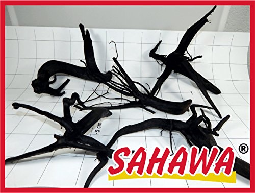 Sahawa® Moorwurzel, rote Moorwurzel, Moorkienwurzel, Moorkienholz, Garnelenbaum (Gr.4 35-40 cm) von SAHAWA