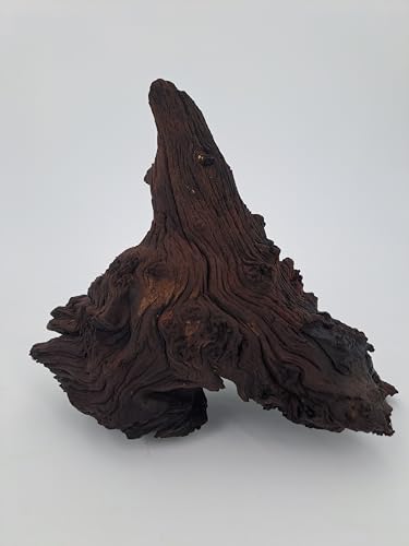 SAHAWA Mangrovenwurzel Black MOPANI Schwarze Wurzel ca 17-25 cm Traumstück jedes EIN Unikat Naturprodukte von SAHAWA