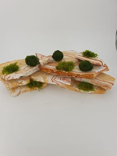 SAHAWA Schiefer Rainbow 5 Kg für Aqurium Deko mit 3 Mooskugeln und 1 Port. Moos einzeln zum selbst gestalten Ihrer Landschaft Garnelenbäumchen aus Schieferplatten SAHAWA Schiefer Rainbow 5 Kg für Aqurium Deko mit 3 Mooskugeln und 1 Port. Moos einzeln zum selbst gestalten Ihrer Landschaft Garnelenbäumchen aus Schieferplatten von SAHAWA