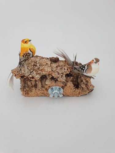 Vogelsitzbrett 2 Stück Natur Kork 10x 10 cm für Wellensittiche Kanarienvögel Papageien mit Befestigungsschraube von SAHAWA