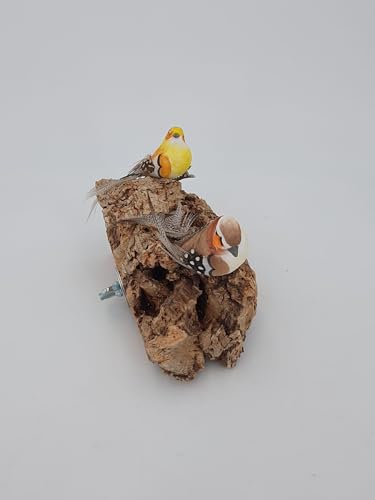 Vogelsitzbrett 2X Natur Kork 15x 10 cm für Wellensittiche Kanarienvögel Papageien mit Befestigungsschraube von SAHAWA