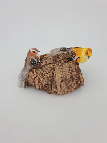 Vogelsitzbrett 3 Stück Natur Kork 15x 10 cm für Wellensittiche Kanarienvögel Papageien mit Befestigungsschraube von SAHAWA