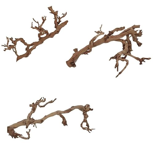 Vogelstange Weinrebe Rebholz 50 x 30cm Naturdeko jedes EIN Unikat von SAHAWA