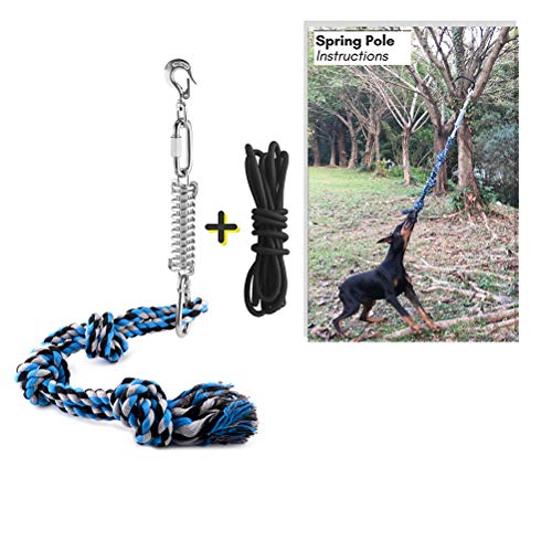 Hundespielzeug Seil, Hund Spielzeug Tauziehen Spielzeug Outdoor Spring Pole Hängeübungsseil Kauspielzeug Mit einem Seil von Sahgsa